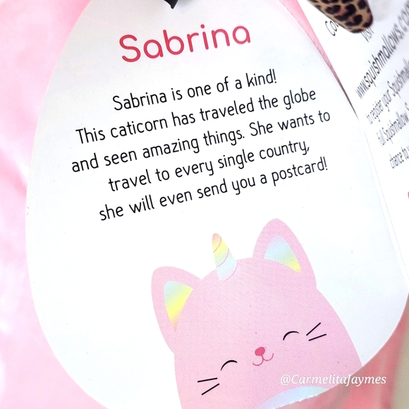 SABRINA 🦄 Light Pink Rainbow Caticorn 2019 Original Squishmallow ☆》NWT《☆ - Picture 3 of 8